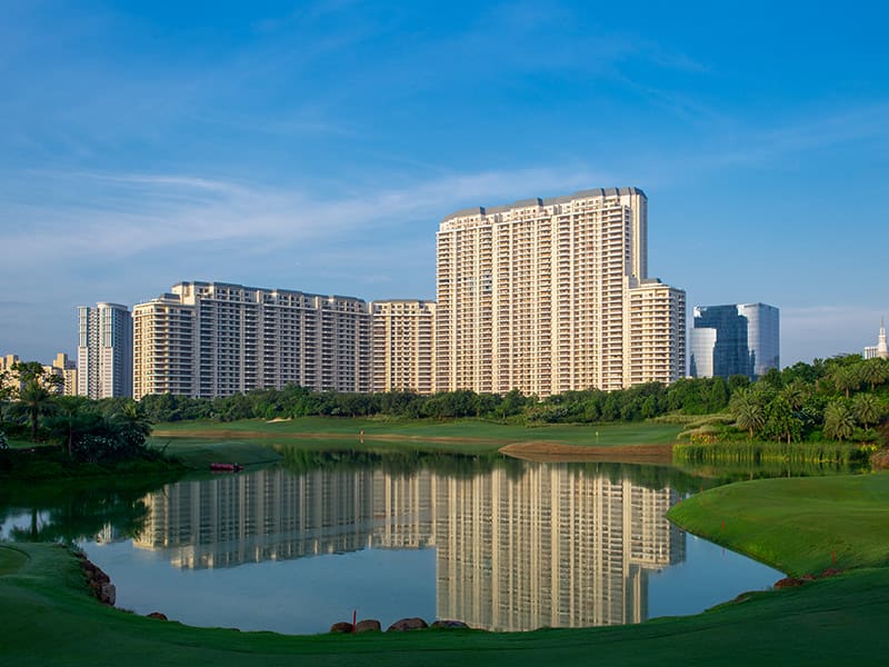 DLF developer