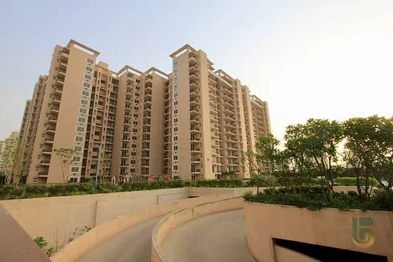 Tulip Purple Sector 69 Gurgaon