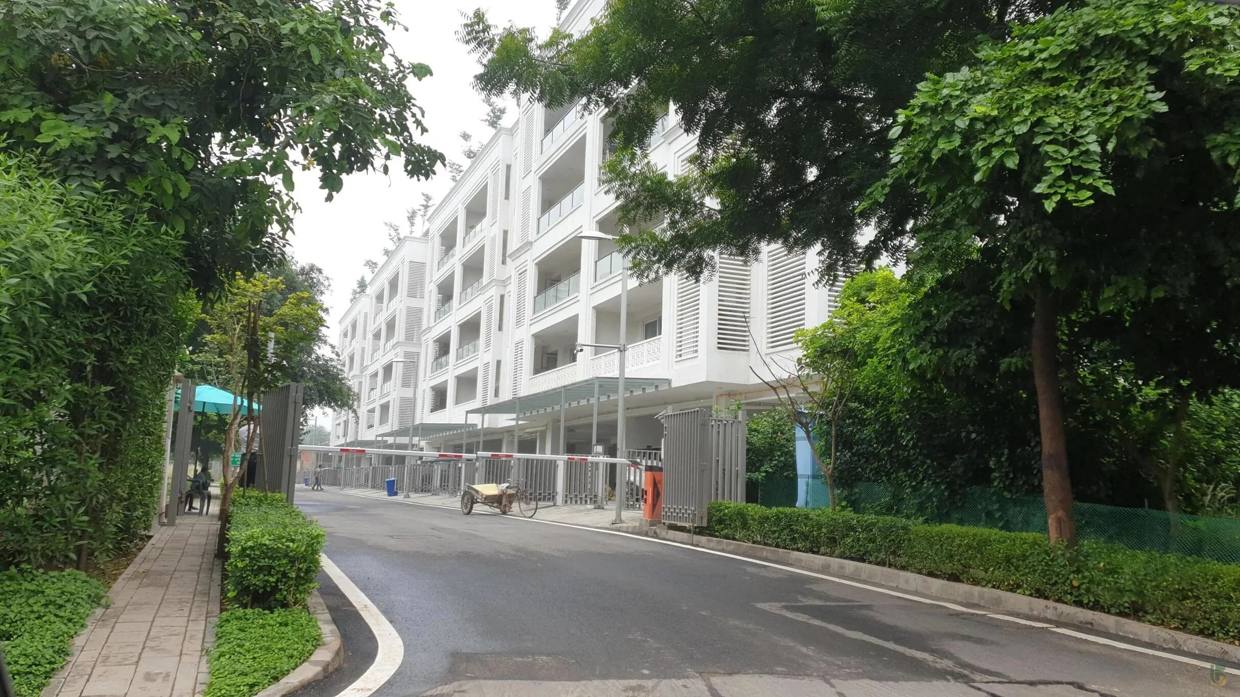 Explore Dlf The Grove Dlf Phase 5 Gurgaon Offering Premium 4 And 5 Bhk Low Rise Floors With Private Living Advanced Security Landscaped Spaces And Golf Course Road Connectivity