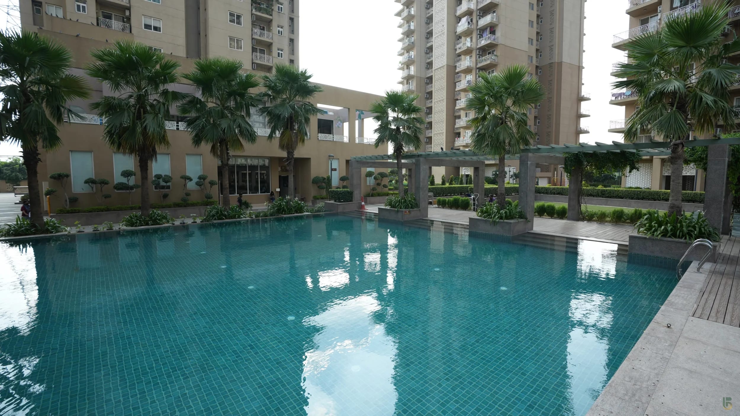 Aipl The Peaceful Homes Sector 70a Gurgaon Pool