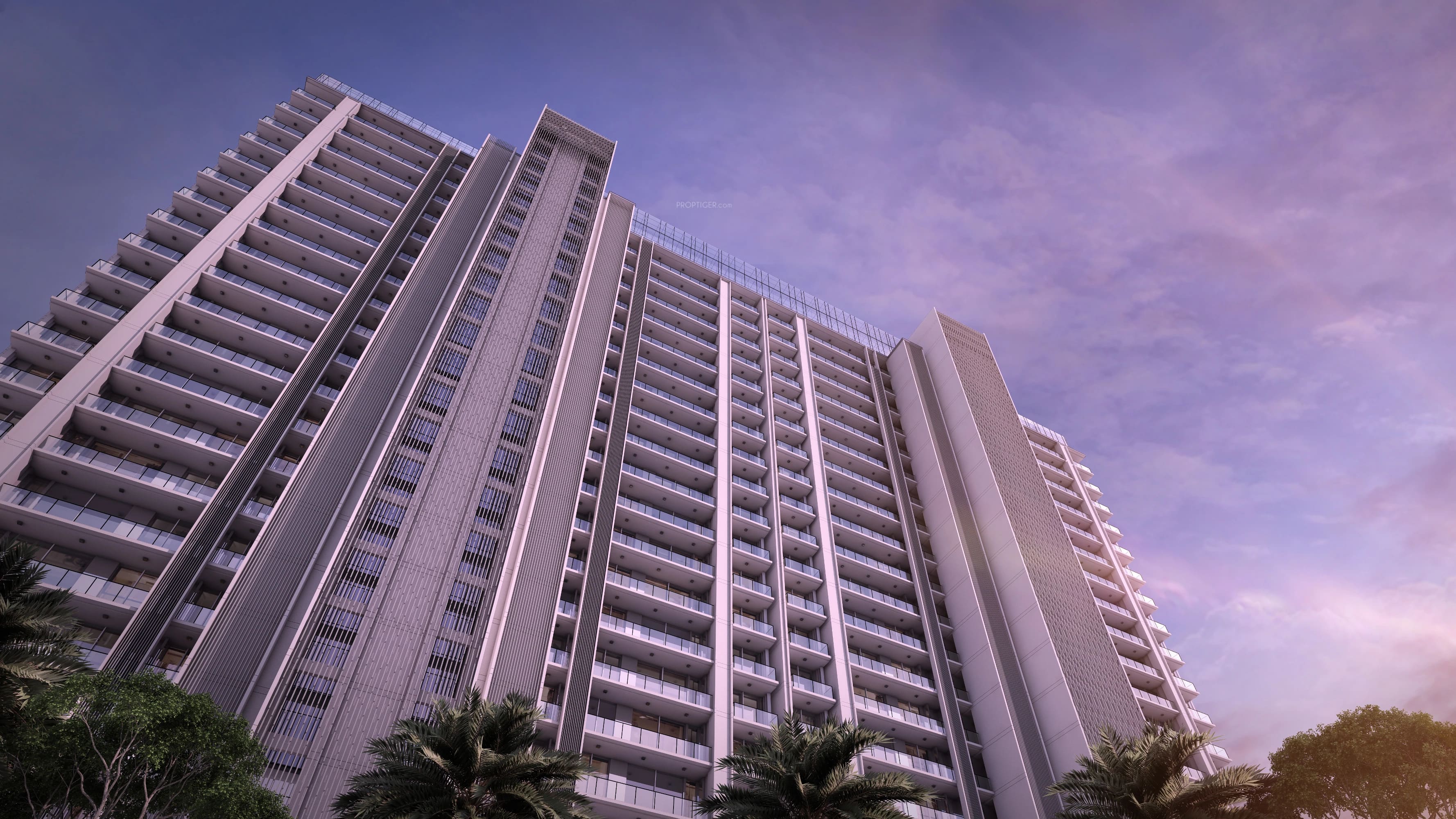 Suncity Developer developer