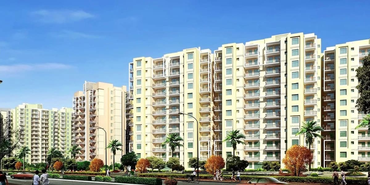 Orris developer